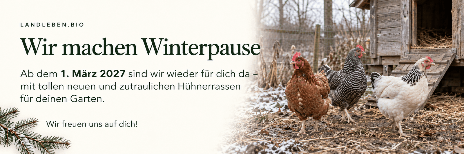 Landleben.bio: Wir machen Winterpause. Ab dem 1. März 2027 sind wir wieder für dich da – mit tollen neuen und zutraulichen Hühnerrassen für deinen Garten. Wir freuen uns auf dich!